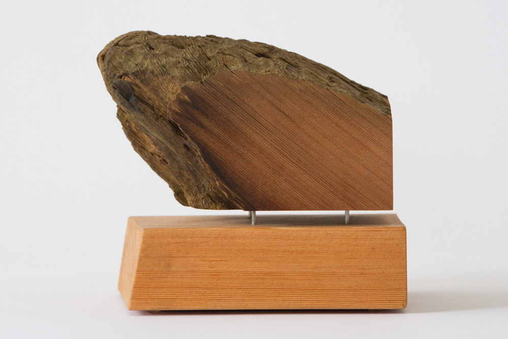 Peace Toad by Andy McConnell, image 1