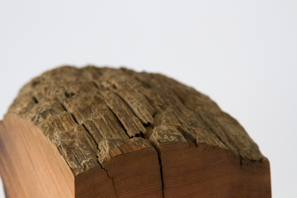 Peace Toad by Andy McConnell, image 3